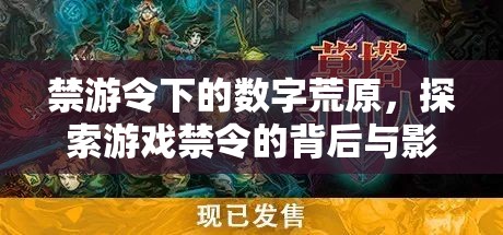 禁游令下的數(shù)字荒原，探索游戲禁令的背后與影響