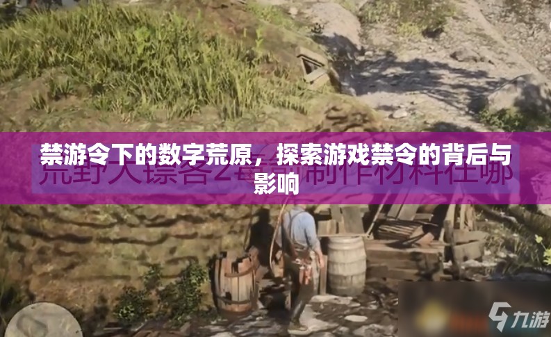 禁游令下的數(shù)字荒原，探索游戲禁令的背后與影響