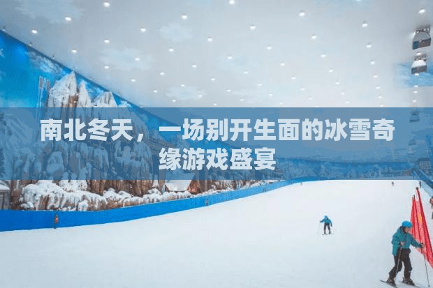 冰雪奇緣，南北冬天的游戲盛宴
