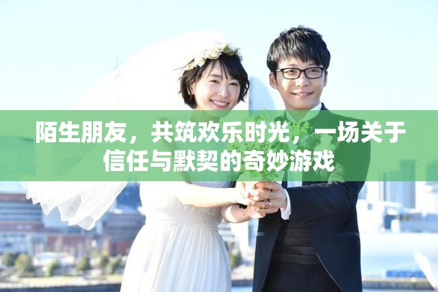 陌生朋友共筑歡樂時光，一場關(guān)于信任與默契的奇妙游戲
