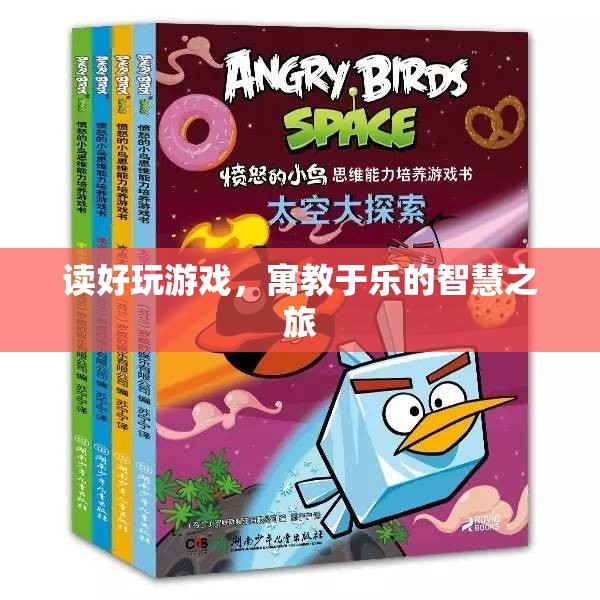 寓教于樂，讀好玩游戲的智慧之旅