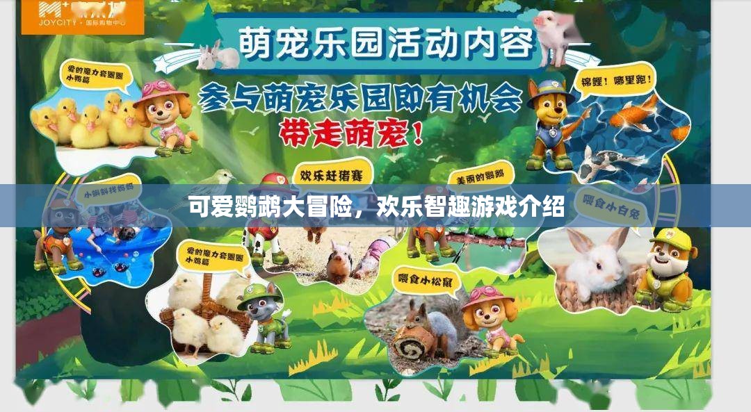 鸚鵡奇趣大冒險(xiǎn)，歡樂智趣游戲