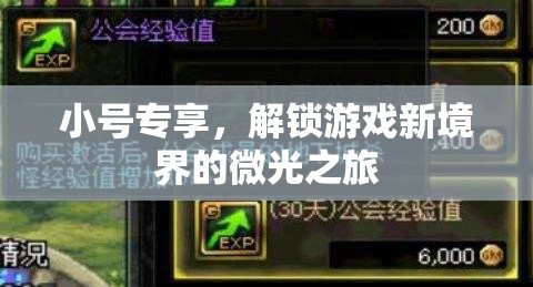 微光之旅，解鎖游戲新境界的小號專享之旅