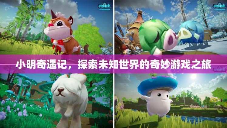 小明奇遇記，探索未知世界的奇妙游戲之旅