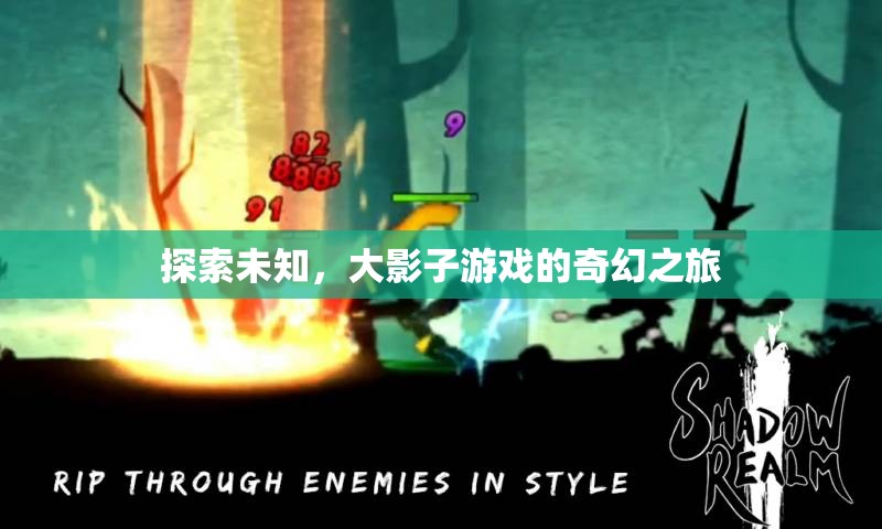大影子游戲，一場探索未知的奇幻之旅