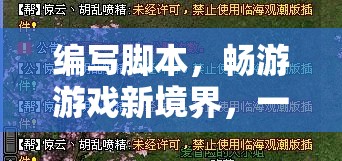 編程與娛樂的完美融合，編寫腳本，暢游游戲新境界