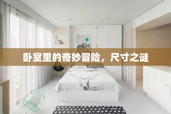 臥室里的奇妙冒險(xiǎn)，揭秘尺寸之謎