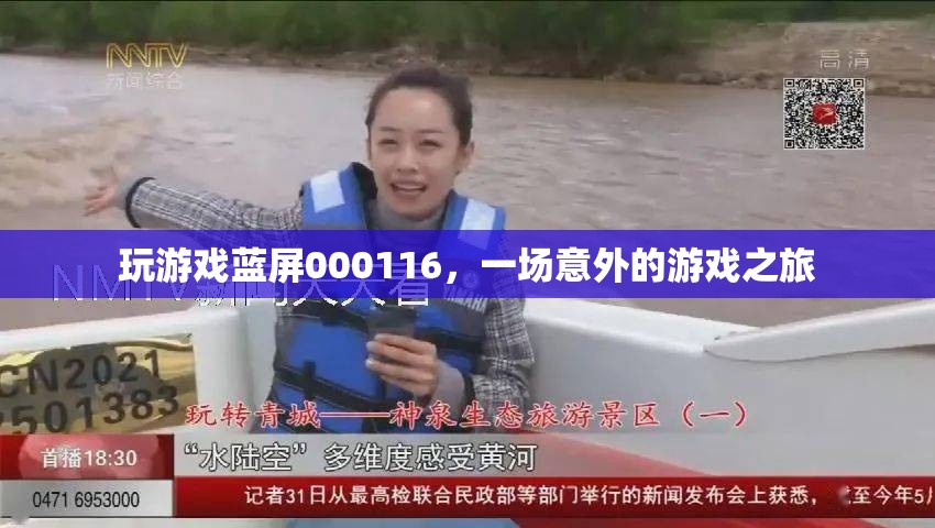 游戲藍屏000116，一場意外的旅程