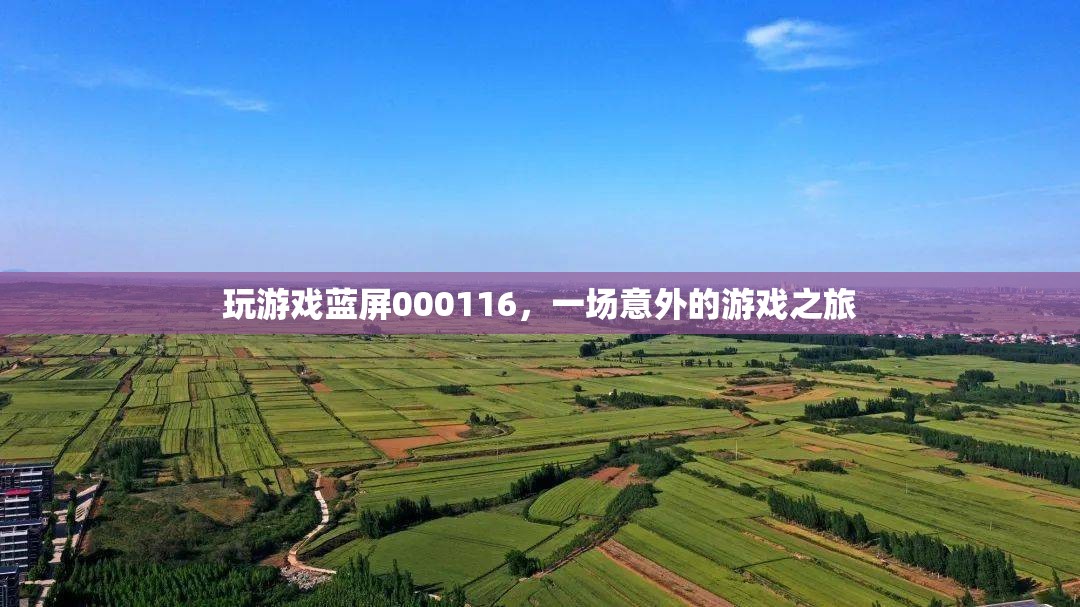 游戲藍屏000116，一場意外的旅程