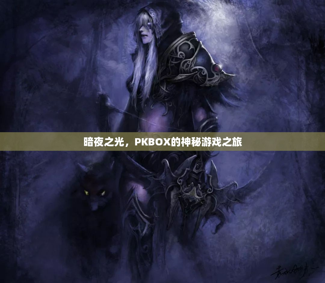 暗夜之光，PKBOX的神秘游戲探險之旅
