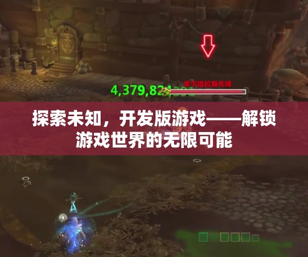 探索未知，開發(fā)版游戲解鎖游戲世界的無限可能