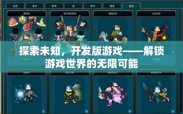 探索未知，開發(fā)版游戲解鎖游戲世界的無限可能