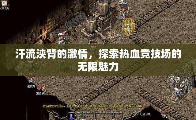 熱血競(jìng)技場(chǎng)，汗流浹背的激情探索