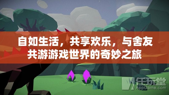 共享歡樂，與舍友共游游戲世界的奇妙之旅
