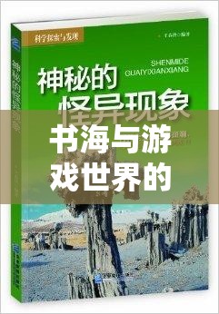 書海與游戲世界的抉擇，探索寧愿游戲現(xiàn)象的背后
