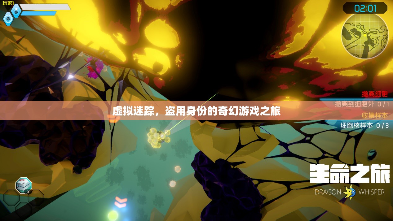 虛擬迷蹤，盜用身份的奇幻游戲之旅