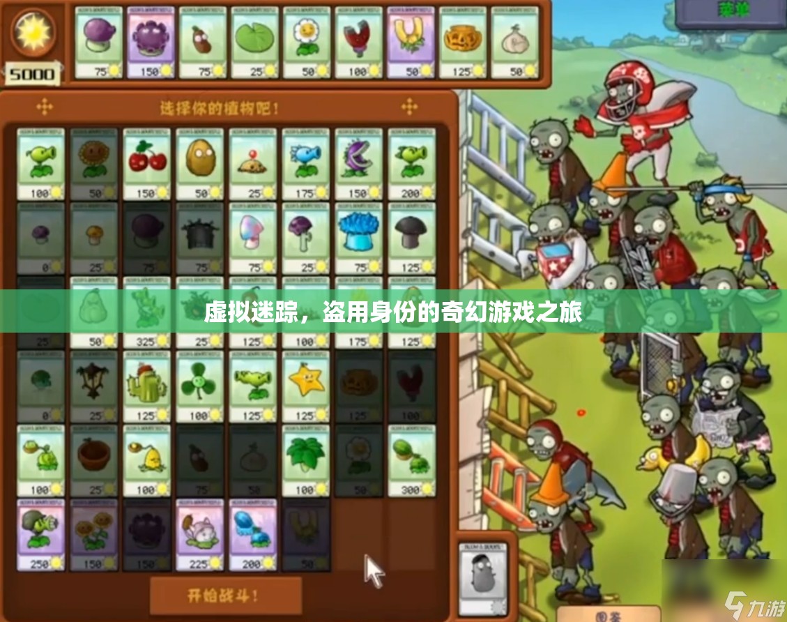 虛擬迷蹤，盜用身份的奇幻游戲之旅