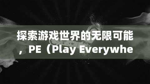 PE（Play Everywhere）的魅力與影響，探索游戲世界的無(wú)限可能
