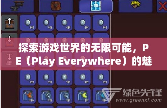 PE（Play Everywhere）的魅力與影響，探索游戲世界的無(wú)限可能