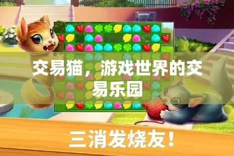 交易貓，游戲世界的交易樂園