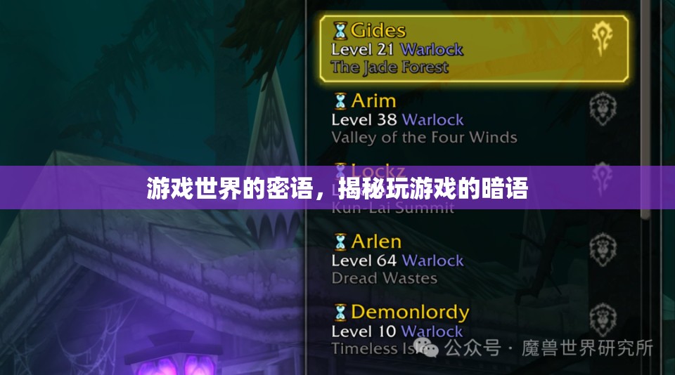 游戲世界的密語，揭秘玩游戲的暗語