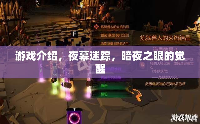 夜幕迷蹤，暗夜之眼的覺(jué)醒——揭秘神秘游戲之旅