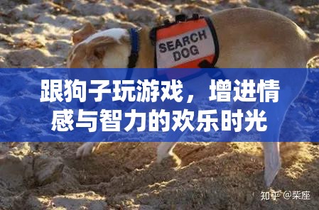 與愛犬共舞，游戲中的情感與智力成長(zhǎng)歡樂時(shí)光