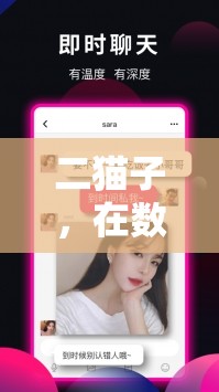 二貓子，數(shù)字世界中的歡樂游戲冒險之旅