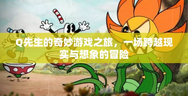 Q先生的奇幻跨界之旅，現(xiàn)實(shí)與想象的奇妙冒險(xiǎn)
