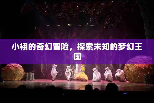 小栩的夢幻王國奇幻之旅，探索未知的奇妙冒險
