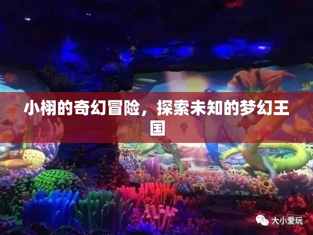 小栩的夢幻王國奇幻之旅，探索未知的奇妙冒險
