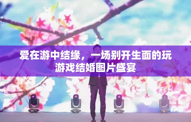 游中結(jié)緣，一場別開生面的游戲結(jié)婚圖片盛宴