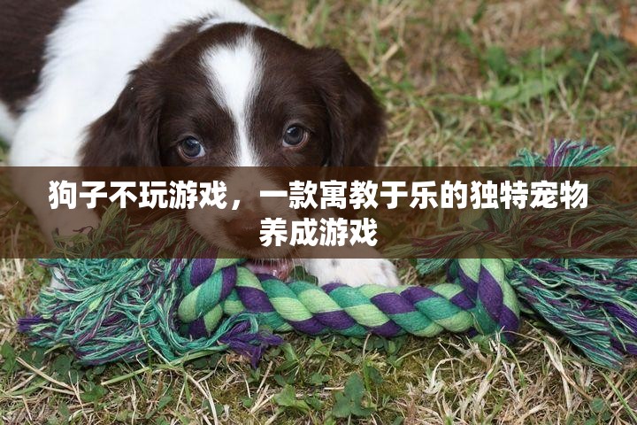 寓教于樂，狗子不玩游戲的獨特寵物養(yǎng)成體驗
