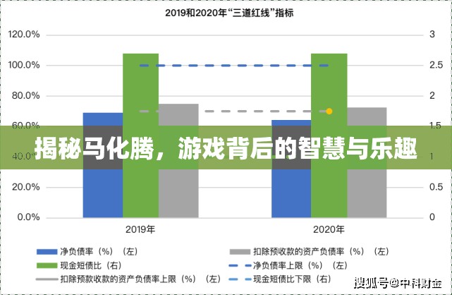 揭秘馬化騰，游戲背后的智慧與樂(lè)趣