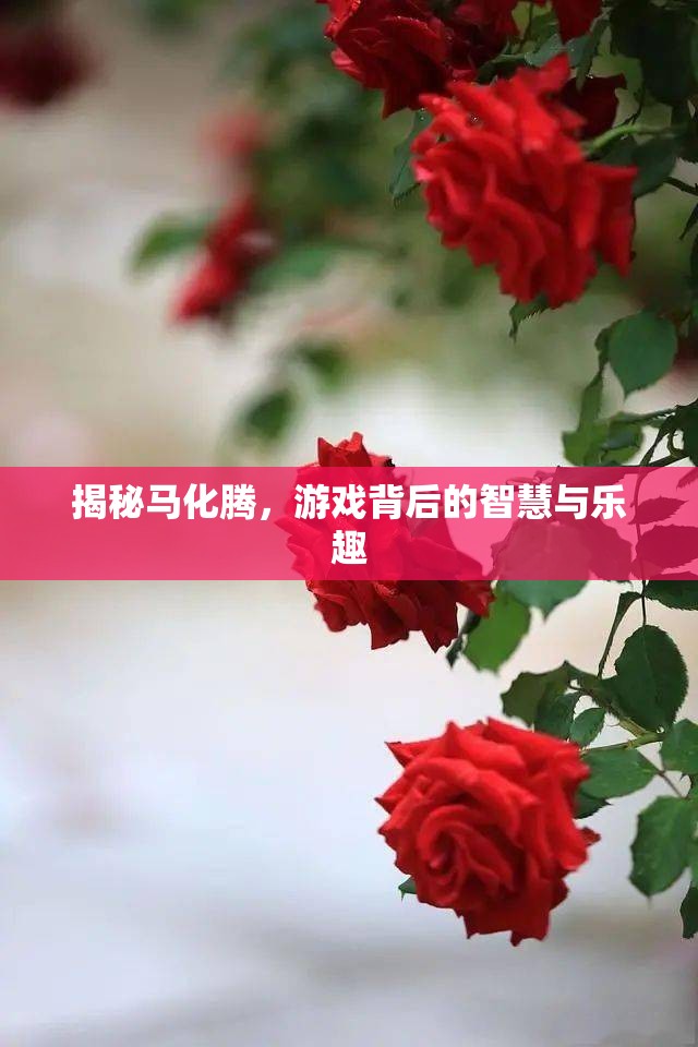 揭秘馬化騰，游戲背后的智慧與樂(lè)趣