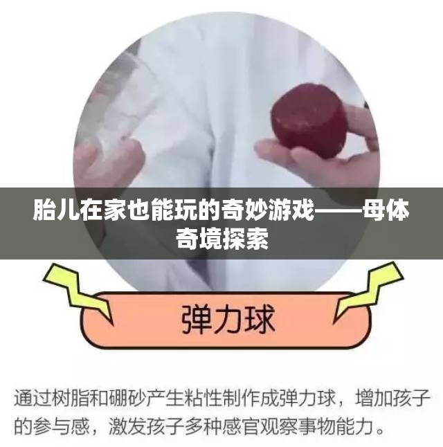 母體奇境，胎兒在家中的奇妙探索之旅