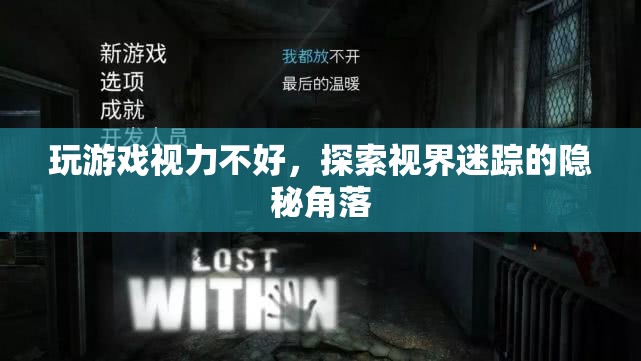 探索視界迷蹤，揭秘游戲中的視力挑戰(zhàn)與隱秘角落