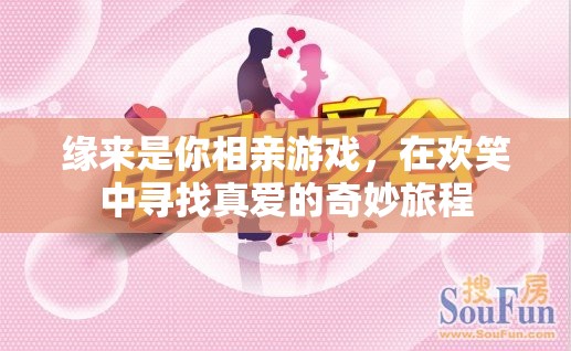緣來是你，一場在歡笑中尋找真愛的奇妙相親游戲之旅
