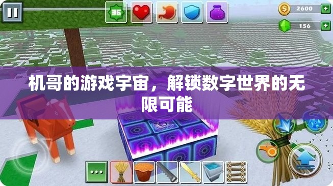 機(jī)哥的數(shù)字游戲宇宙，解鎖無(wú)限可能