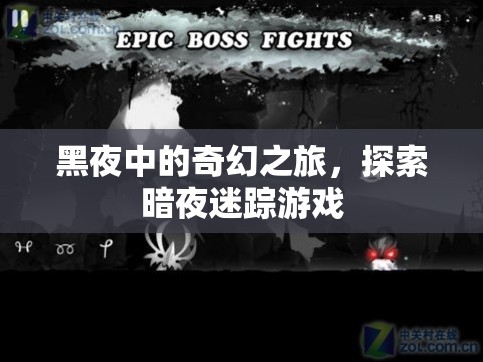 暗夜迷蹤，一場黑夜中的奇幻探險游戲
