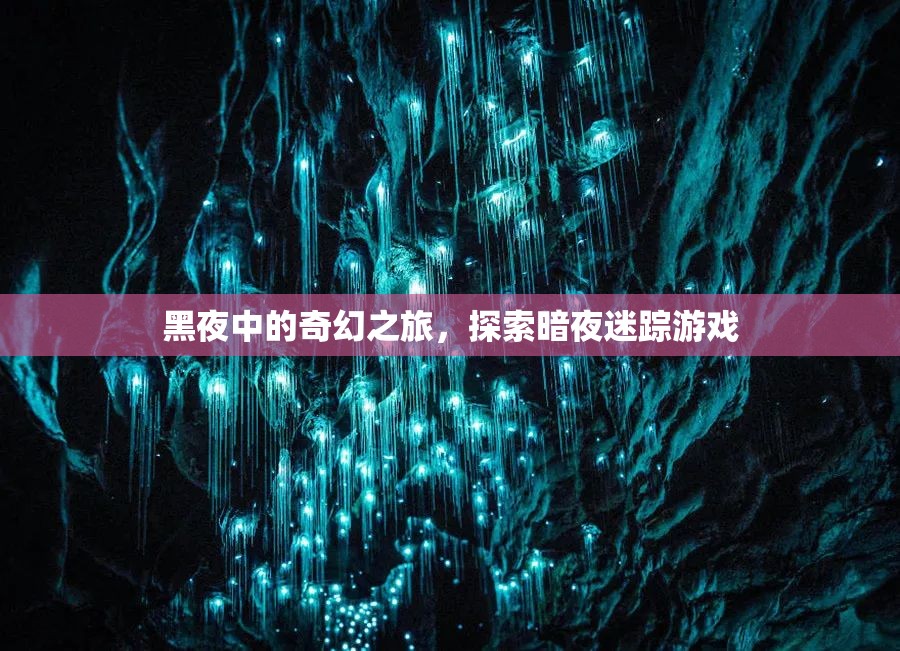 暗夜迷蹤，一場黑夜中的奇幻探險游戲
