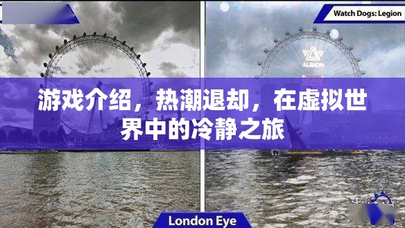 虛擬世界的冷靜之旅，熱潮退卻后的游戲探索