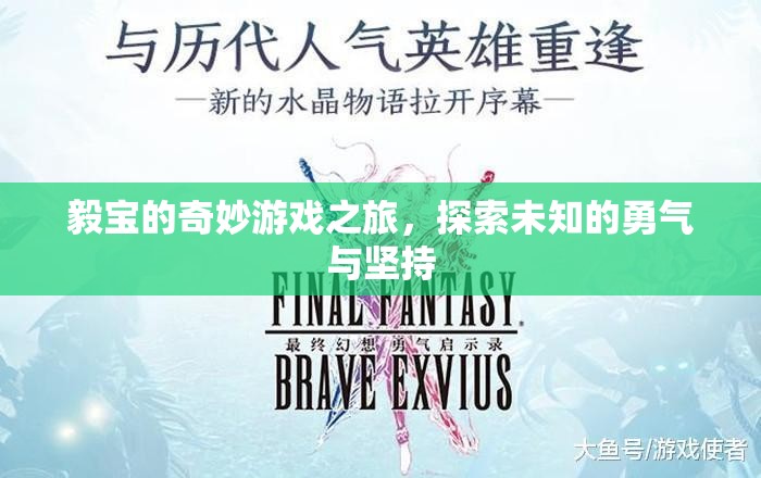 毅寶的未知探索，勇氣與堅(jiān)持的奇妙游戲之旅