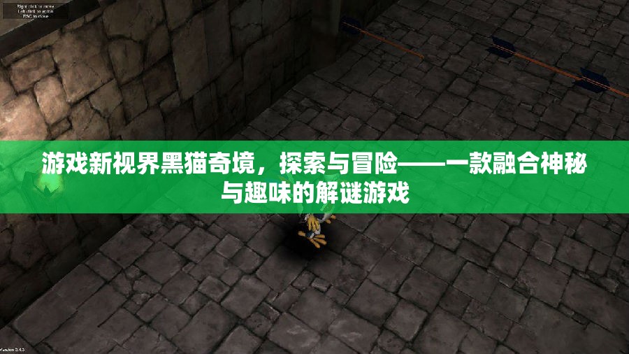 黑貓奇境，解鎖神秘，享受趣味解謎之旅
