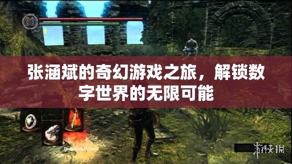 張涵斌的奇幻數(shù)字之旅，解鎖無(wú)限可能的數(shù)字世界