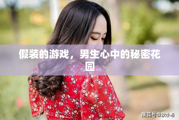 男生心中的秘密花園，假裝游戲的真實面貌