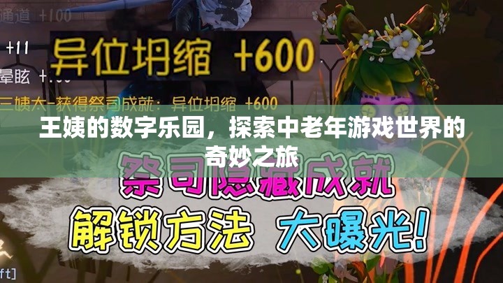 王姨的數(shù)字樂(lè)園，探索中老年游戲世界的奇妙之旅