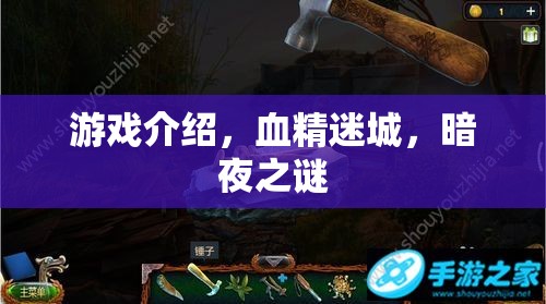 血精迷城，暗夜之謎——揭秘暗夜世界的奇幻冒險(xiǎn)