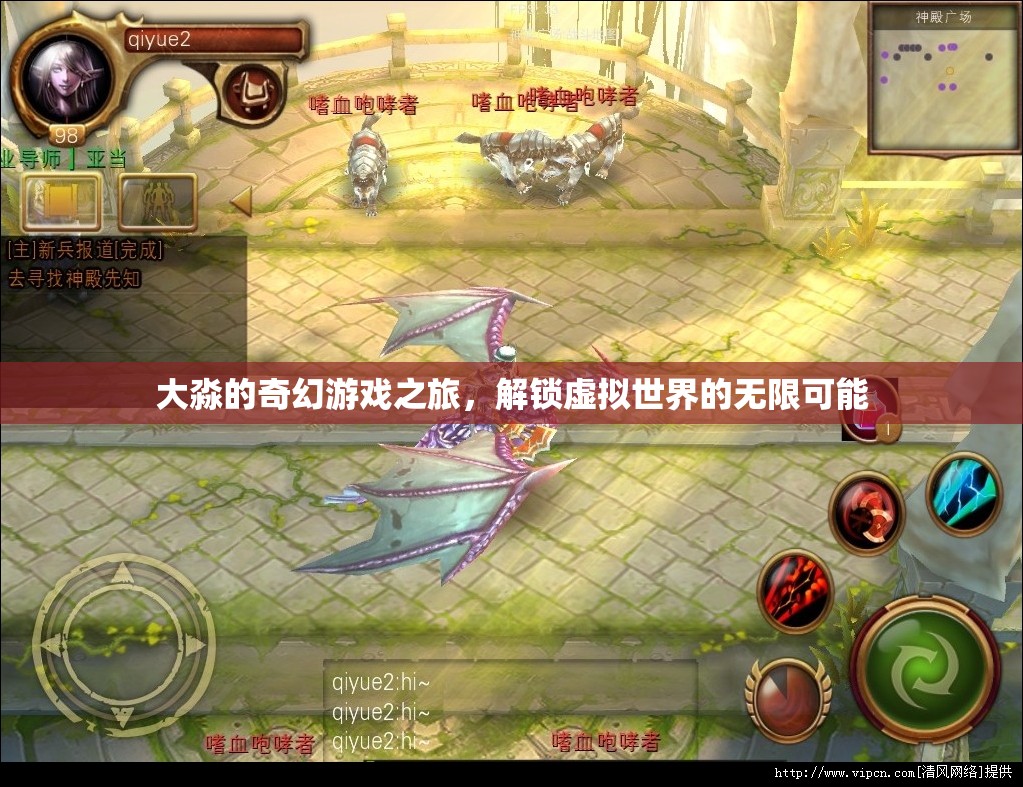 大淼的奇幻游戲之旅，解鎖虛擬世界的無(wú)限可能