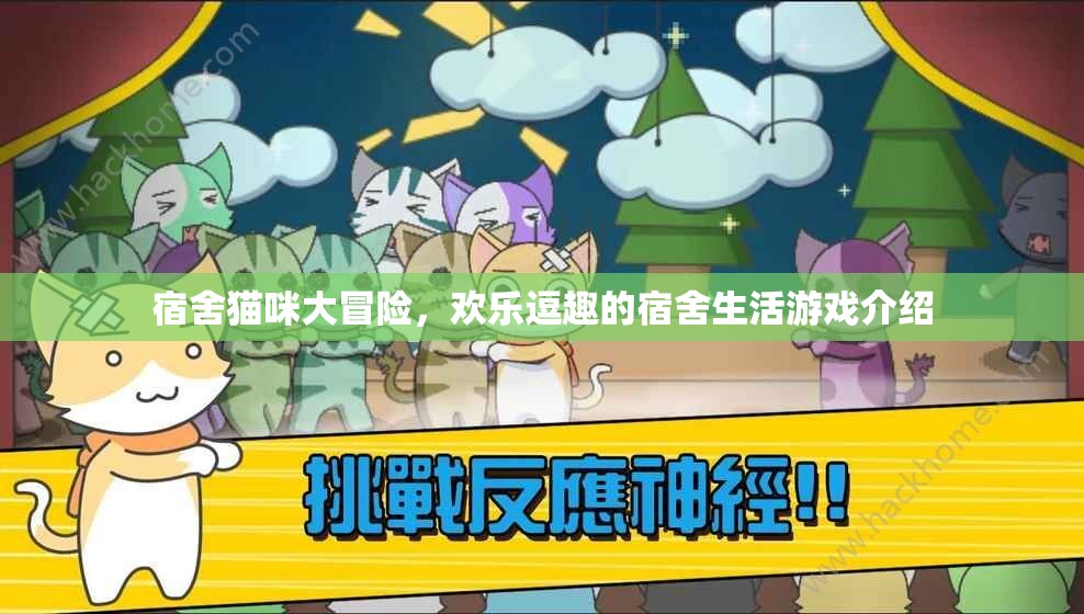 宿舍貓咪大冒險(xiǎn)，歡樂(lè)逗趣的宿舍生活游戲